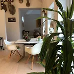 Cozy, Quiet Perfect For Business Or Pleasure Villa *