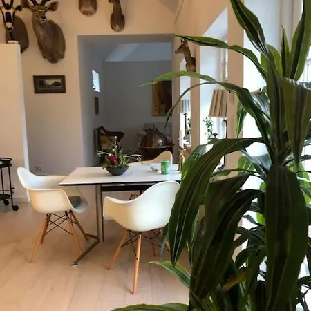 Cozy, Quiet Perfect For Business Or Pleasure Vila *