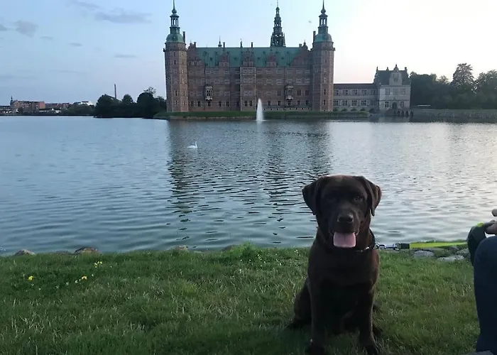 Cozy, Quiet Perfect For Business Or Pleasure *