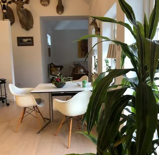 Cozy, Quiet Perfect For Business Or Pleasure Villa *